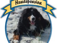 Hundebetreuung in Niedersachsen (10. Ergebnis)
