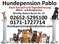 Hundebetreuung in Rheinland-Pfalz (14. Ergebnis)