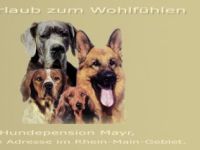 Hundebetreuung in Hessen (2. Ergebnis)