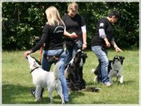 Hundeschule in Nordrhein-Westfalen (16. Ergebnis)
