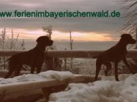 Urlaub mit Hund in Bayern (16. Ergebnis)