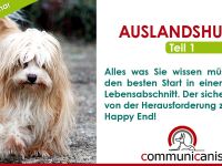 Veranstaltung zum Thema Hunde in Bayern (8. Ergebnis)