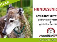 Veranstaltung zum Thema Hunde in Bayern (20. Ergebnis)
