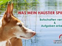 Veranstaltung zum Thema Hunde in Bayern (13. Ergebnis)
