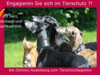 Veranstaltung zum Thema Hunde in Bayern (19. Ergebnis)