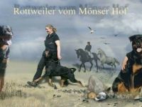 Rottweiler-Hundezüchter in Niedersachsen (1. Ergebnis)