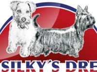 Australian Silky Terrier-Hundezüchter (1. Ergebnis)