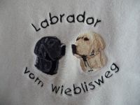 Labrador Retriever-Hundezüchter in Baden-Württemberg (9. Ergebnis)