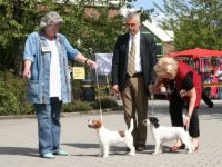 Jack Russell Terrier-Hundezüchter in Nordrhein-Westfalen (3. Ergebnis)