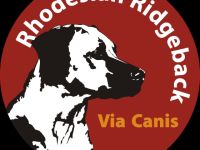 Rhodesian Ridgeback-Hundezüchter (6. Ergebnis)