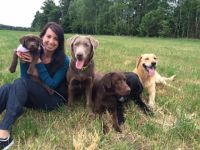 Labrador Retriever-Hundezüchter in Thüringen (3. Ergebnis)