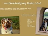 Australian Shepherd-Hundezüchter in Nordrhein-Westfalen (7. Ergebnis)