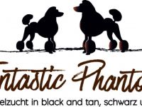Pudel-Hundezüchter in Rheinland-Pfalz (5. Ergebnis)