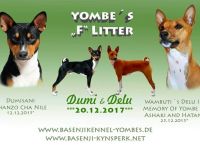 Basenji-Hundezüchter (1. Ergebnis)