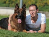 Deutscher Schäferhund-Hundezüchter in Bayern (4. Ergebnis)