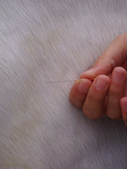 Eine Einweg-Akupunkturnadel, mit Kunststoffbeschichtung zum schmerzärmeren Einstechen. Pferdeschulter. (Foto: Dr. A. Ollmann)