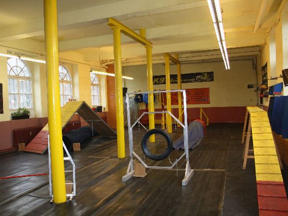 Das Indoor-Hundeausbildungscenter biete viele Trainingsmöglichkeiten für die Hunde. (Foto: K. Dahlhaus)