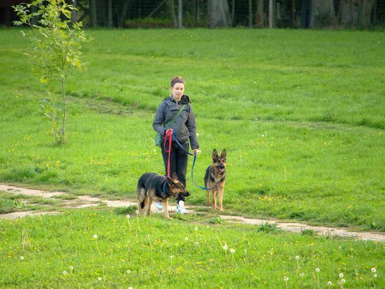 Ziel des Trainings ist es, mit dem Hund locker an der Leine laufen zu können. (Foto: M. Jessat)