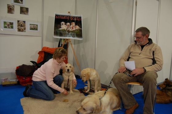 Familie Weber mit ihrem Rudel Golden Retriever. (Foto: Hundefinder.de)