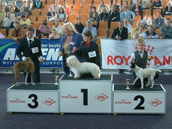 Stolz präsentieren die Gewinner im Juniorhandling Altersklasse 1 ihre Siegerhunde.