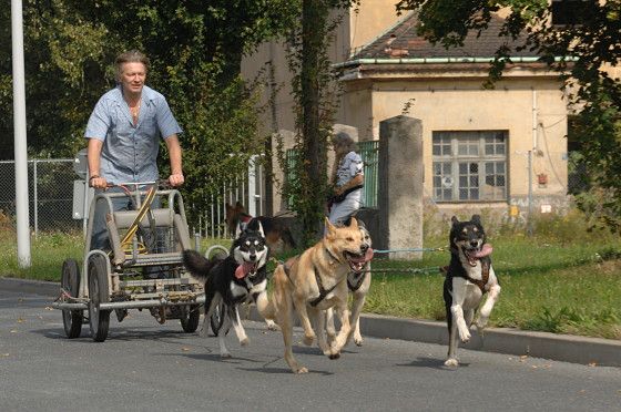 Ralf Gotthardt stellt sein Schlittenhundeunternehmen vor, ebenfalls am Snautz.de-Stand. (Foto: TMS)