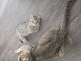 Vorschaubild 1