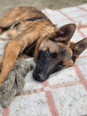 Skalina sucht ihr Glück...