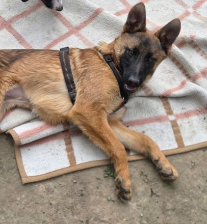 Skalina sucht ihr Glück...