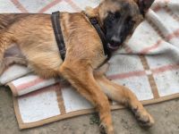 Skalina sucht ihr Glück...